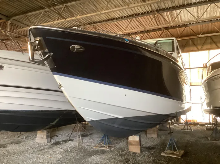 Steal Yacht Photos Pics 