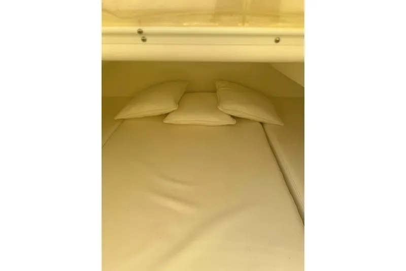  Yacht Photos Pics Cozy cabin interior of 2017 Sea Hunter 39 with cushions and bedding.