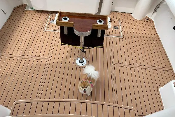 36-207 Ray Brokerage Yacht Photos Pics 