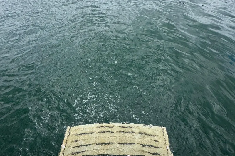  Yacht Photos Pics View from Regal 35 Sport Coupe 2018, overlooking calm water.