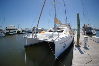 Leopard 40