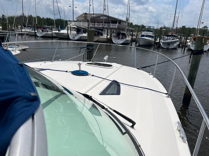 Vitamin Sea Yacht Photos Pics 2010 Sea Ray 330 Sundancer docked at marina with sailboats in background.