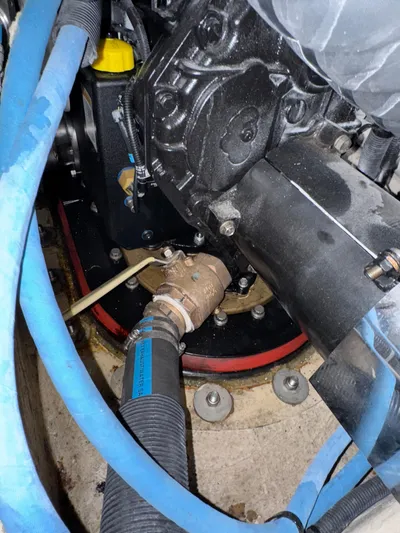 Just Fohr Fun Yacht Photos Pics 