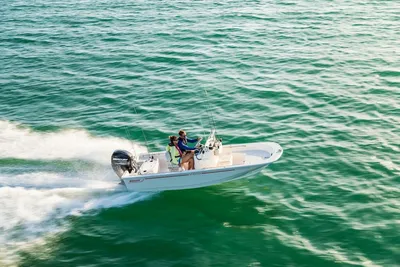 Boston Whaler 150 Montauk