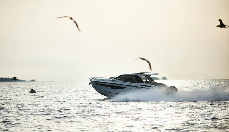  Yacht Photos Pics 2025 Skamander Sorrento boat cruising on open water with seagulls flying above.