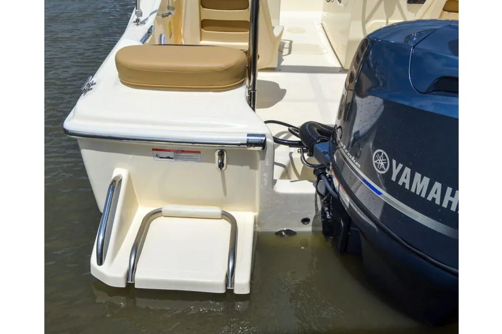 2025 Scout 175 Sport Dorado Photo