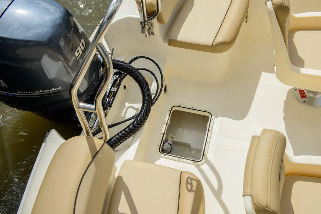 2025 Scout 175 Sport Dorado Photo
