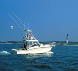2005 Albemarle 310 Express Fisherman