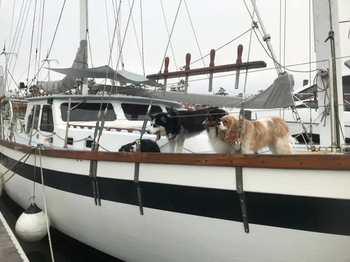 Sheba Moon Yacht Photos Pics 