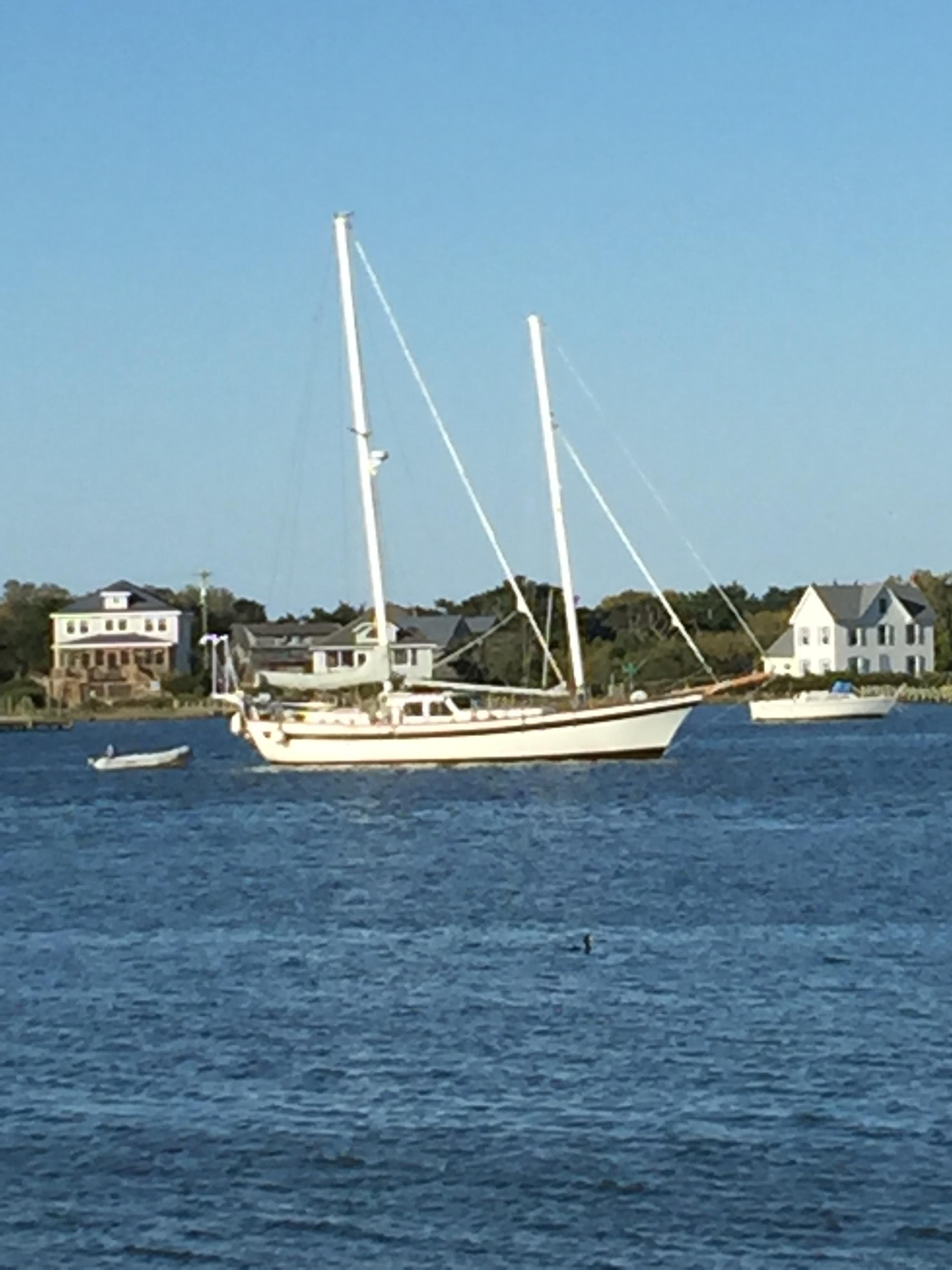【大放出セール】 Schooner 53 Skookum 1978 for YachtWorld - sale その他