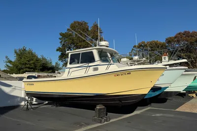 Steiger Craft 255DV Chesapeake