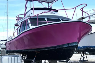Newton 36 Dive Special