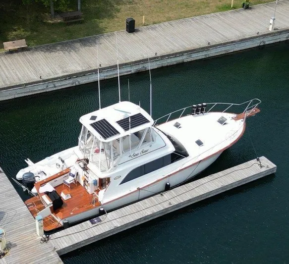 Sea Saw Yacht Photos Pics 