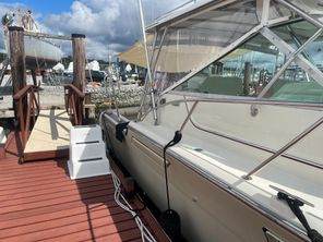 Sea Pro 219