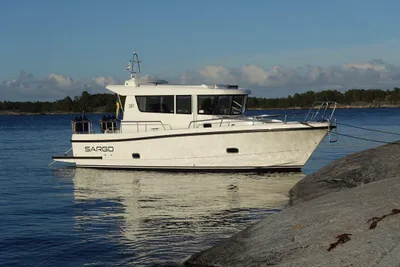 Sargo 31