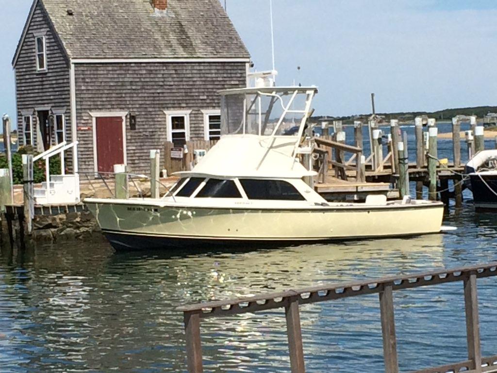 1965 Bertram 31 Flybridge Cruiser Cruiser for sale YachtWorld