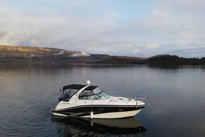 2010 Viper 303