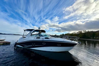 2010 Viper 303