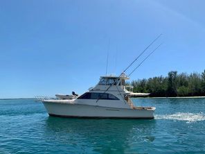 Ocean Yachts 58