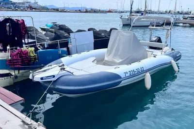 2018 Marlin Ribs 790