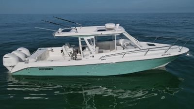 Everglades 350LX