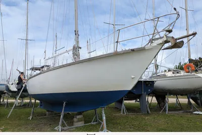 1997 Trismus 37