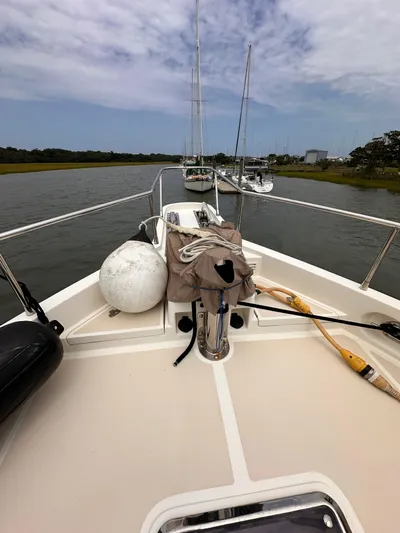 Andiamo Yacht Photos Pics 