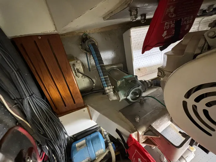 Andiamo Yacht Photos Pics 