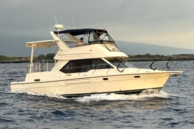 Bayliner 4387 Motoryacht