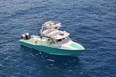 Ocean Master 31 Custom