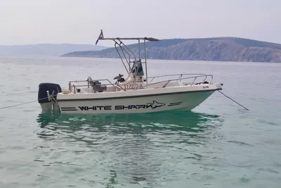 1999 Kelt WHITE SHARK 175