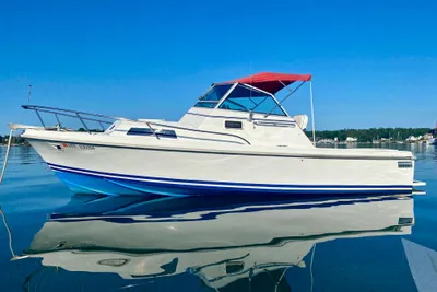 Limestone Express Cruiser