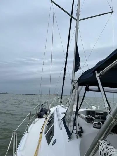 Wild Again Yacht Photos Pics 