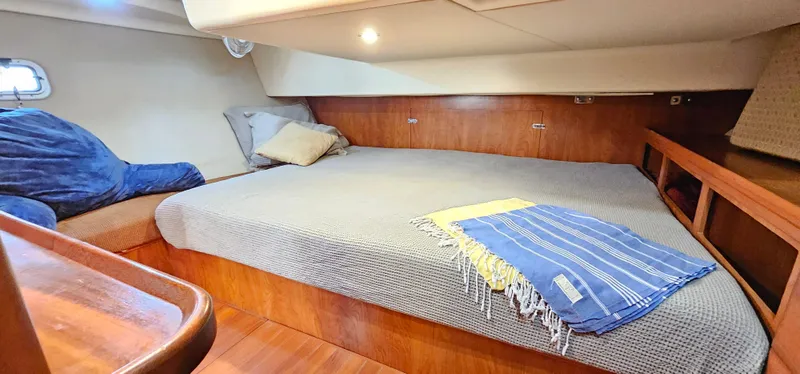 Wild Again Yacht Photos Pics 