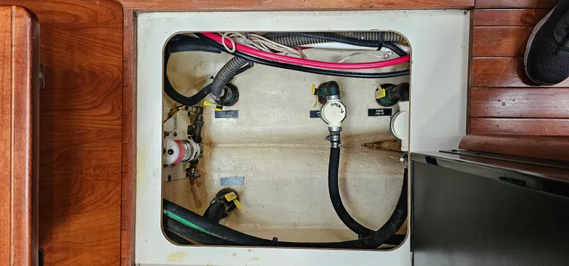 Wild Again Yacht Photos Pics 