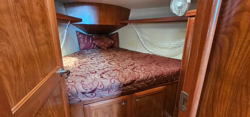 Wild Again Yacht Photos Pics 