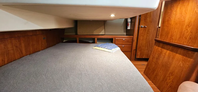 Wild Again Yacht Photos Pics 