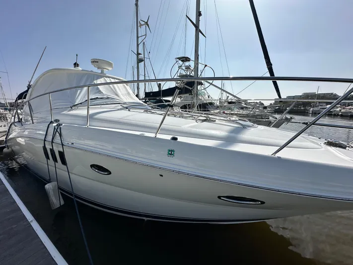 Bad Kitty Yacht Photos Pics 