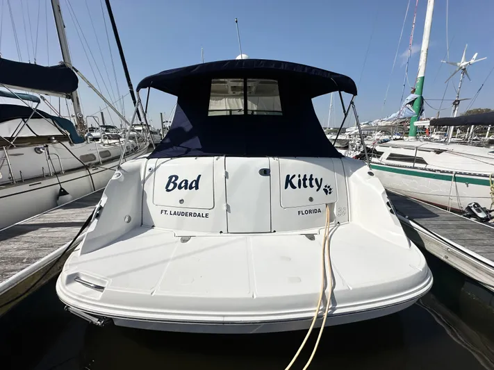 Bad Kitty Yacht Photos Pics 