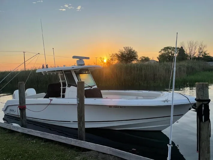  Yacht Photos Pics 2019 Boston Whaler 330 Outrage docked at sunset, serene water and reeds in background.