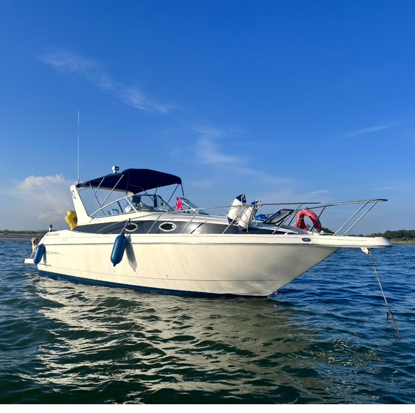 1999 Monterey 296 Cruiser