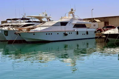1981 Arno Leopard Leopard 20