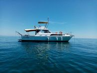 1974 Cabo sail fish 37