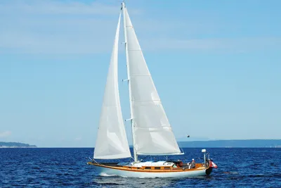 Jespersen Peterson 53