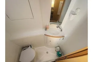 Buzio Yacht Photos Pics 2014 Lagoon 380 S2 yacht bathroom with compact sink and toilet.