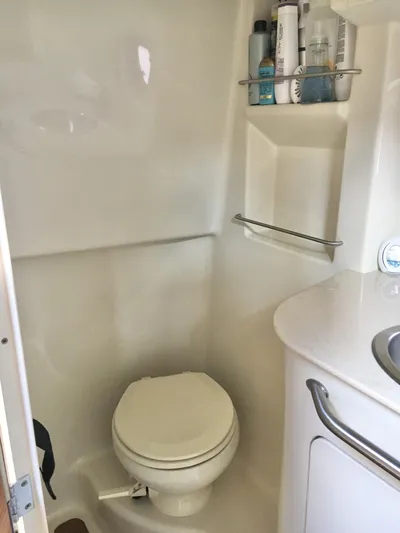  Yacht Photos Pics Compact bathroom in 2010 Sea Ray 330 Sundancer boat with toilet and sink.