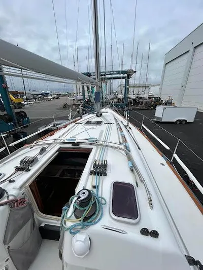 Wild T'ing Yacht Photos Pics 