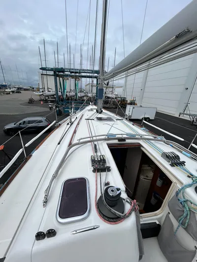 Wild T'ing Yacht Photos Pics 