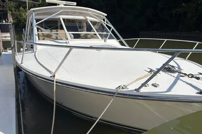 Carolina Classic 32