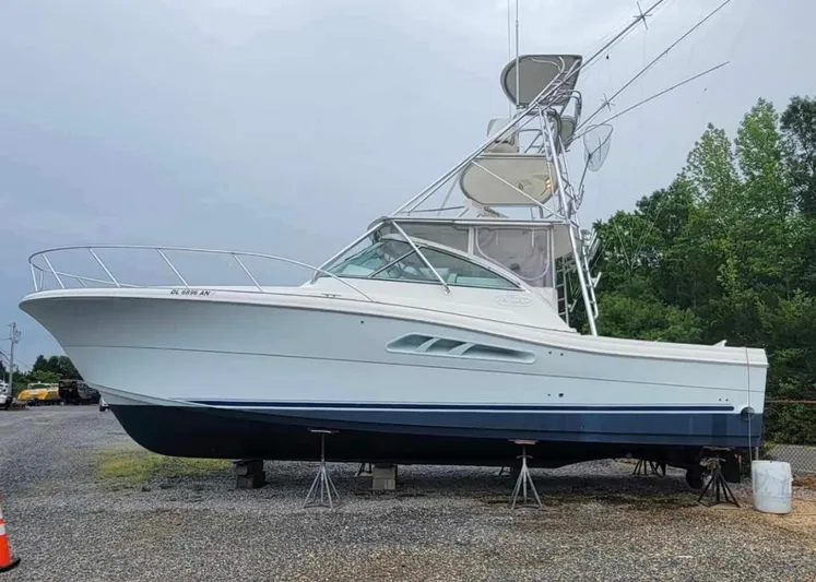 Empty Pockets Yacht Photos Pics 